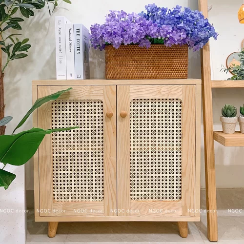 Tủ lưu trữ hai cánh phối mây